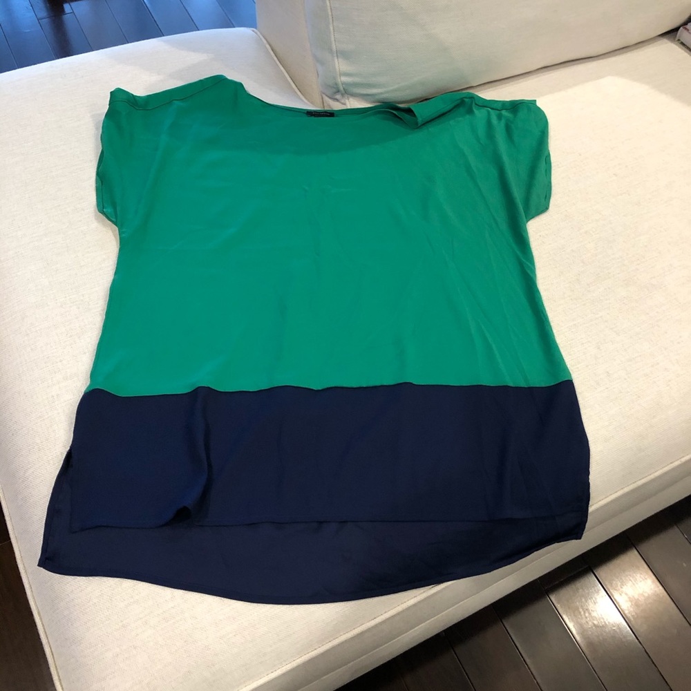 Ann Taylor Tunic Blouse